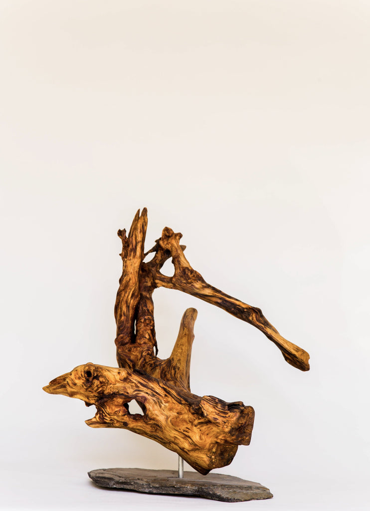 Girafe - 15