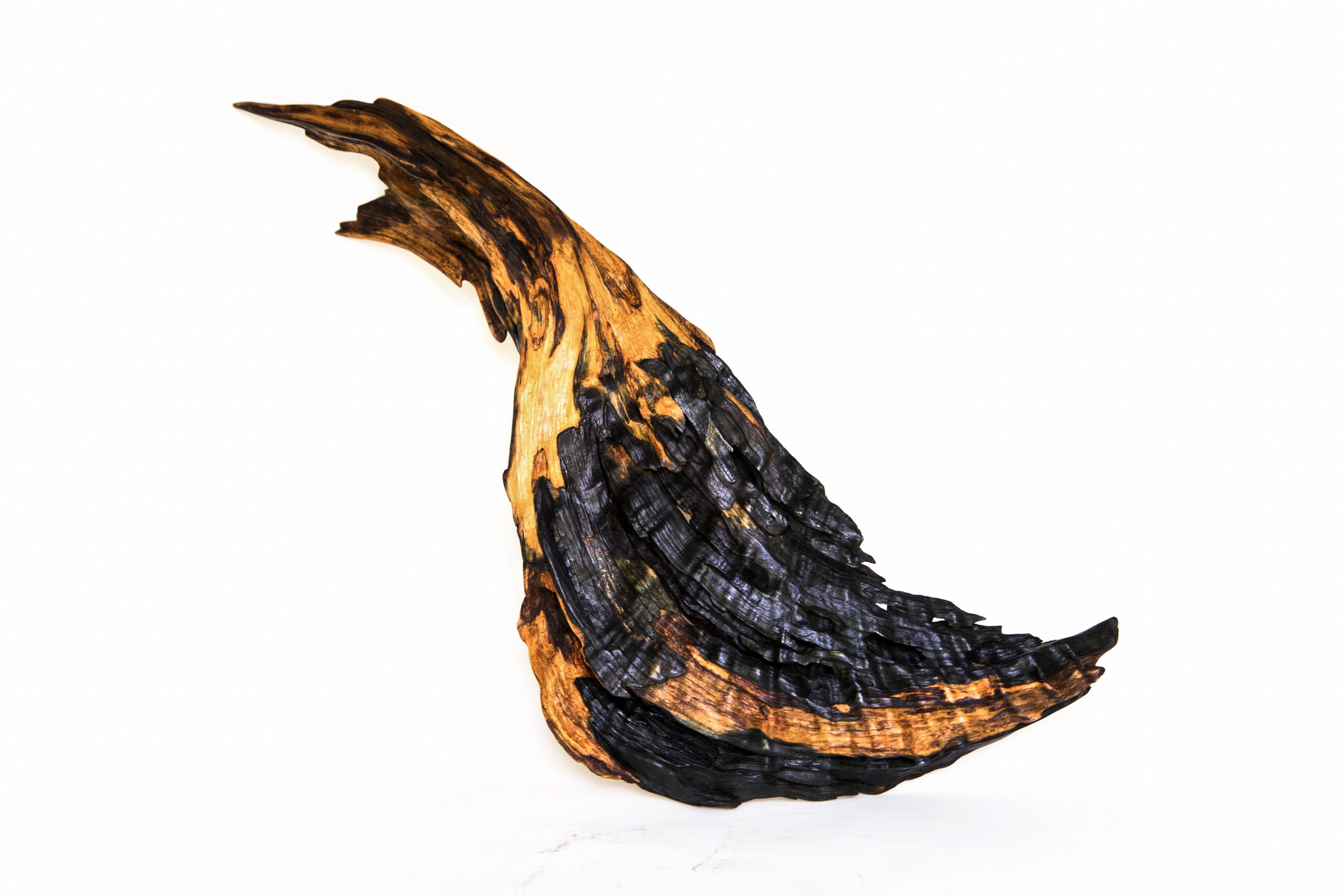 Plumage - 10