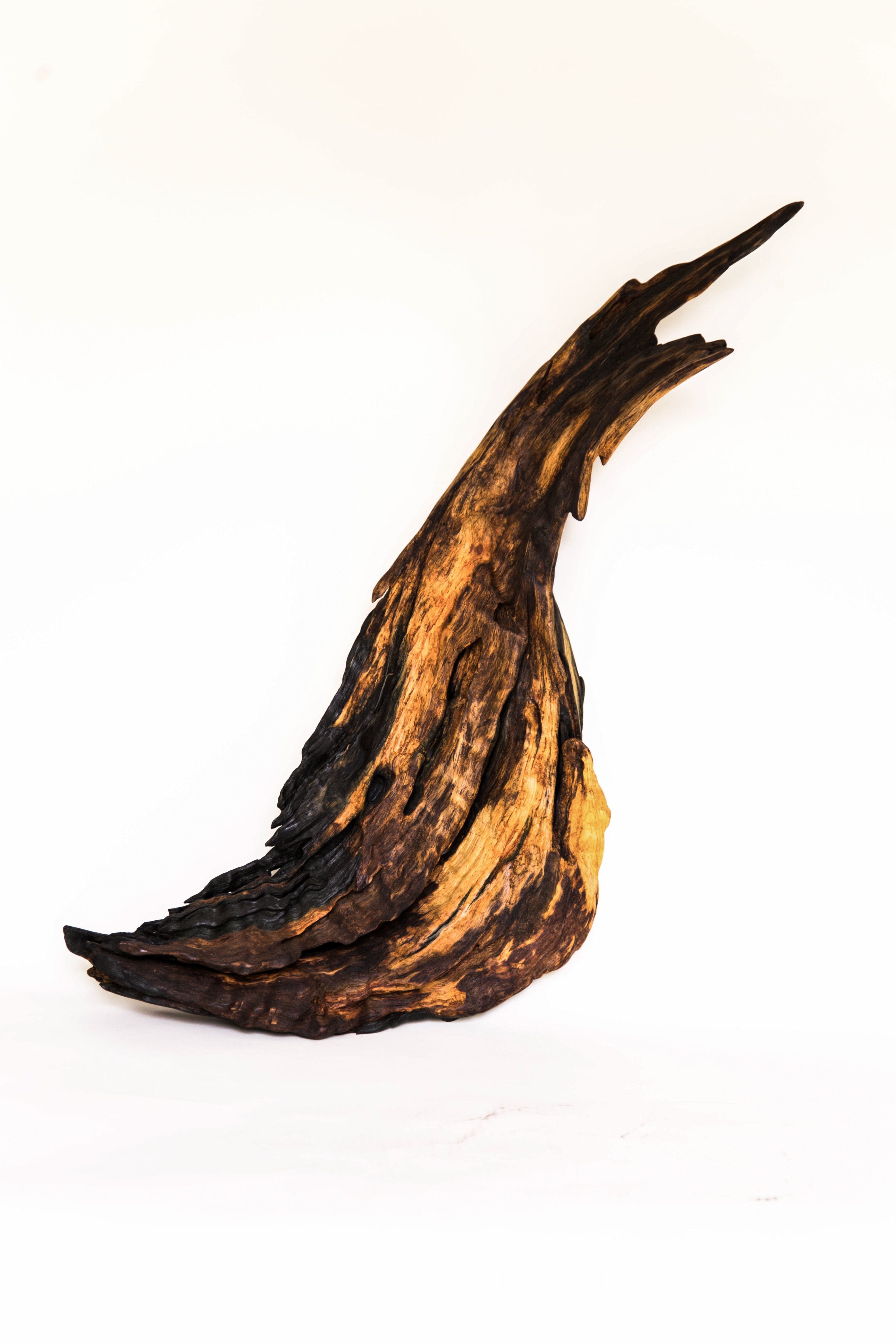Plumage - 10