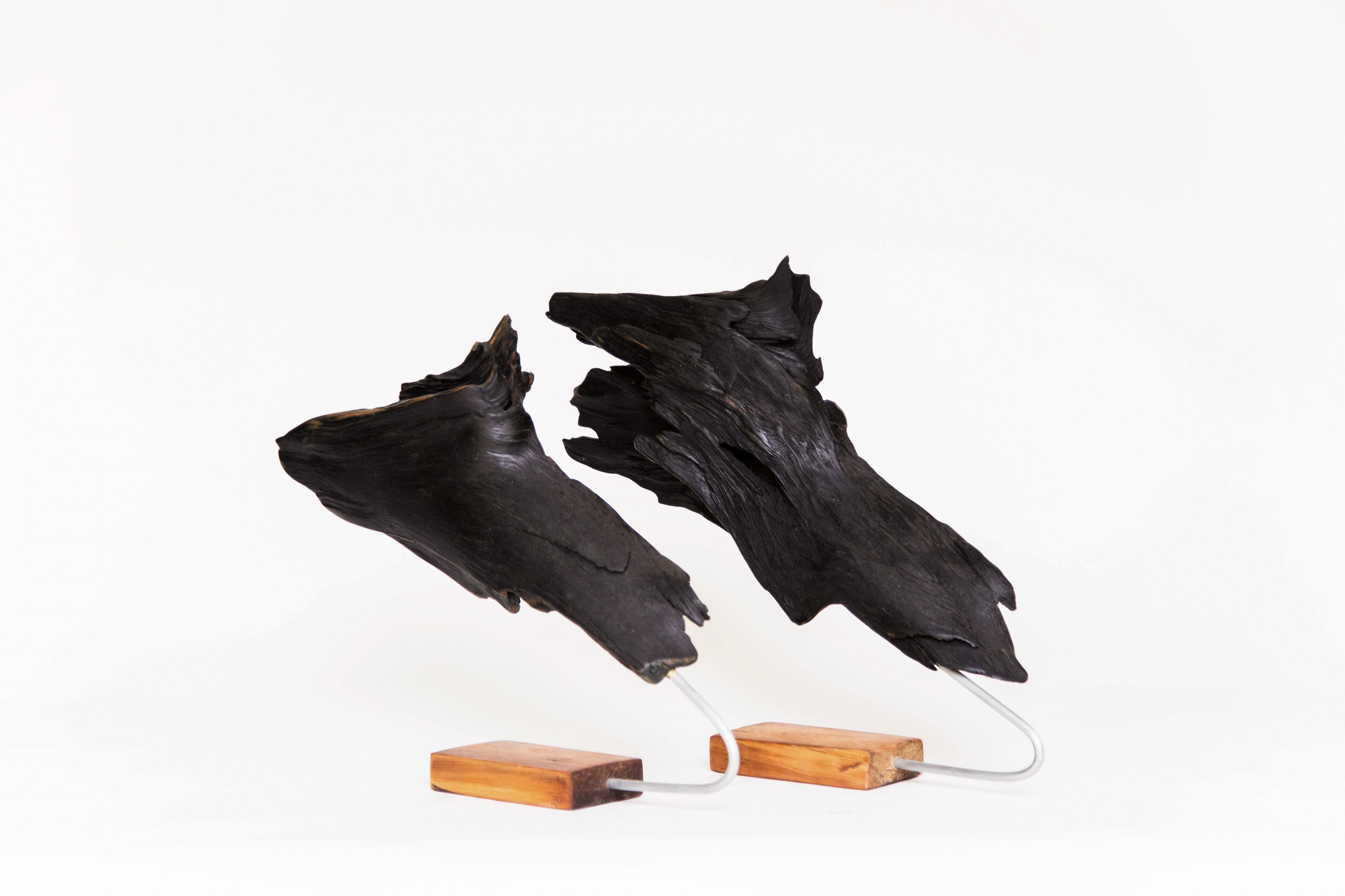 Wolves Pack - 16