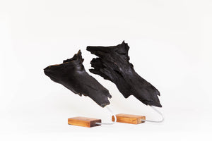 Wolves Pack - 16