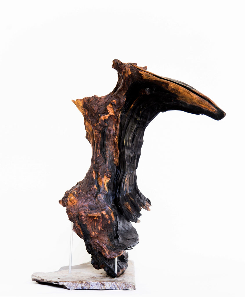 Le huard - 17