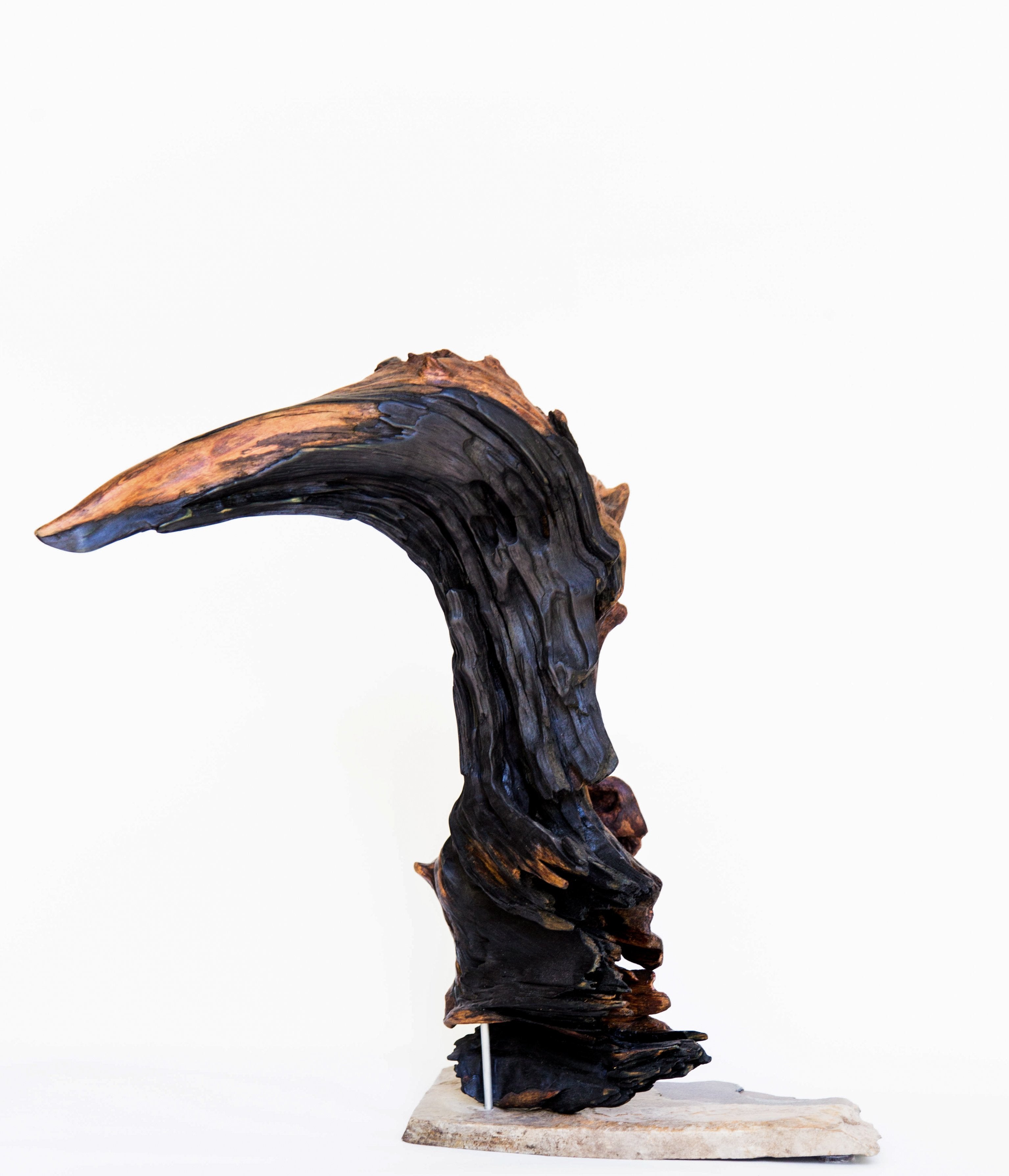 Le huard - 17