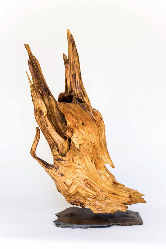 Antilope - 27