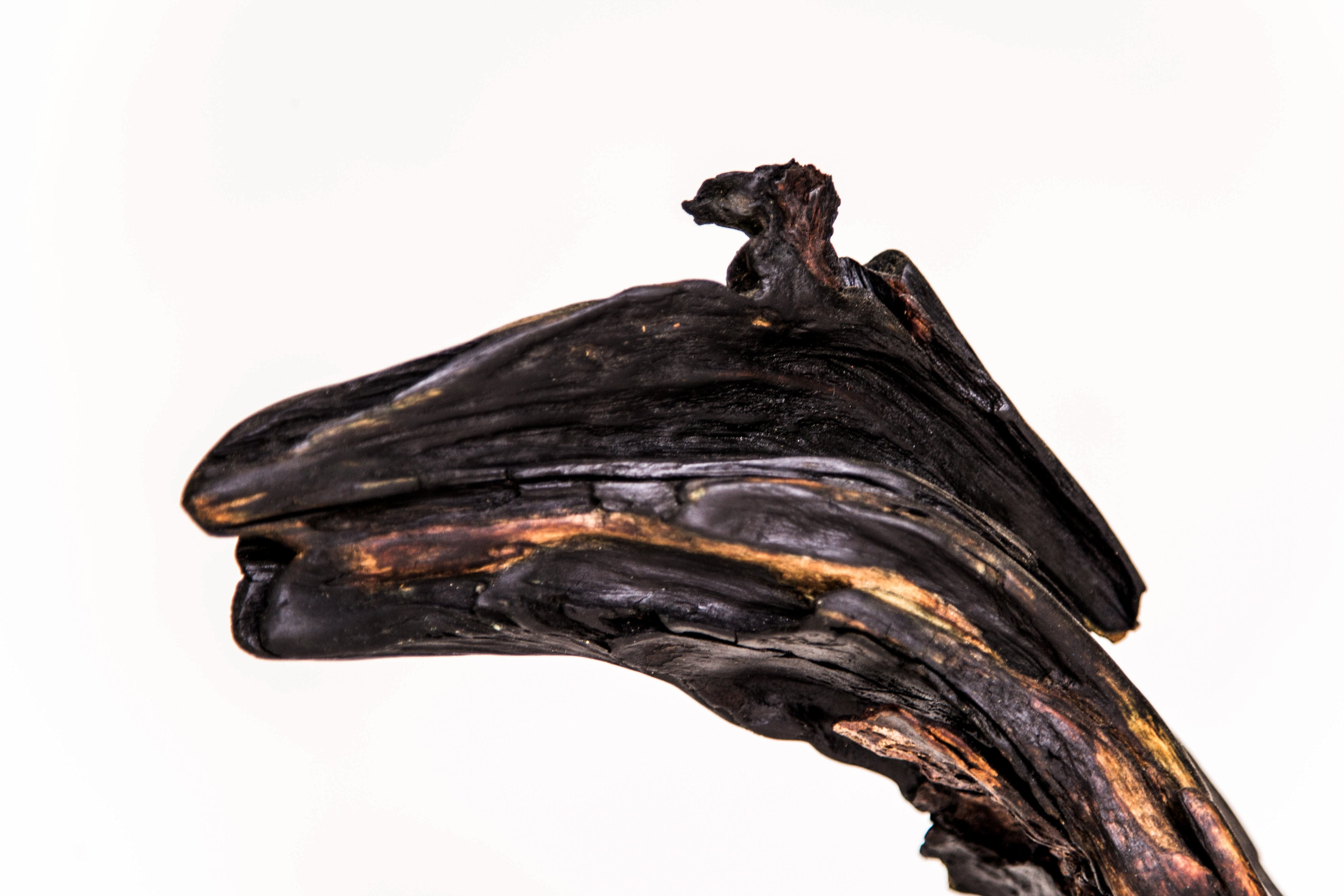 Cheval - 13